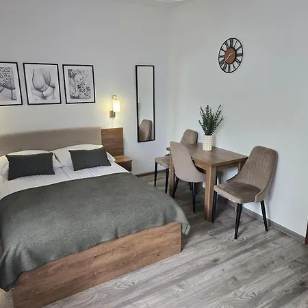 홈스테이 Horyzont Goscinne