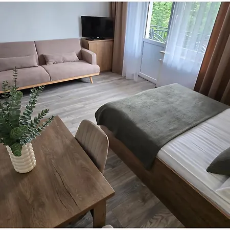 홈스테이 Horyzont Goscinne *